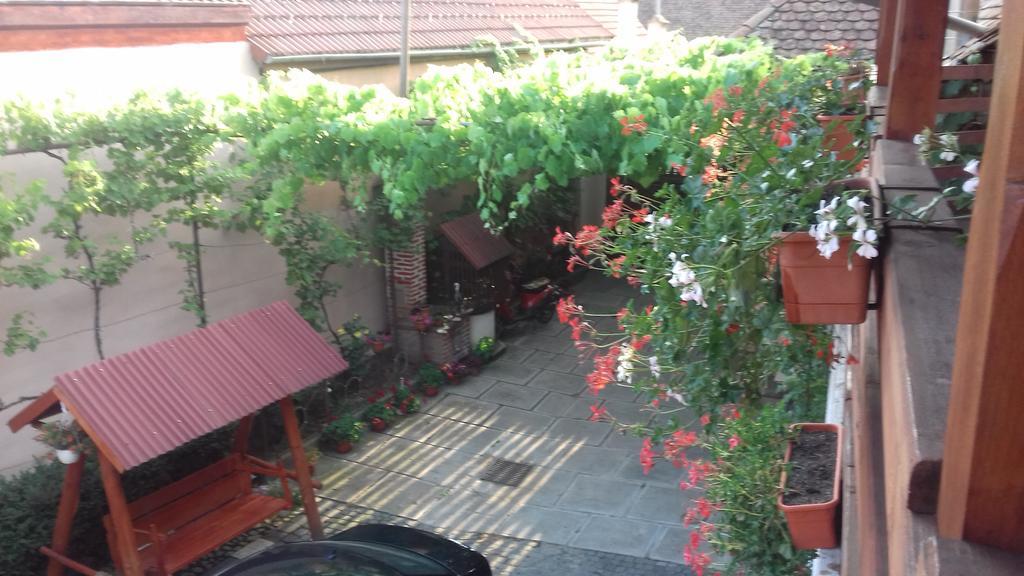 Pensiunea Razvan Gura Rîului Exterior foto